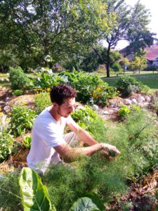 jardinage