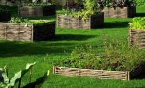 carre potager en osier
