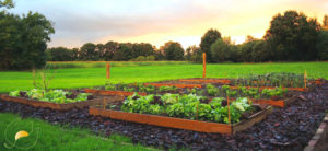 bac jardinage-annecy-potager-permaculturepermaculture