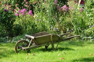 potager champetre