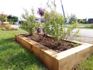 jardiniere et bac en chêne et arbustes de haie