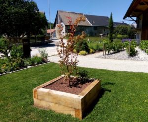Bac en bois de chene plantes et arbustes