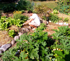 Jardinier entretien espaces verts