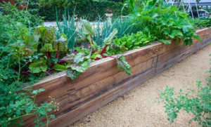 bac en bois pour jardin urbain et terrasse
