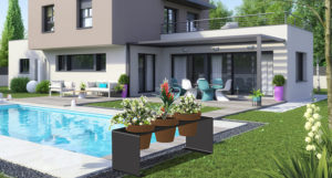 bac piscine amenagement fleurs et vegetaux