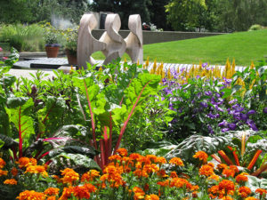 jardin gustatif de vegetaux et legumes
