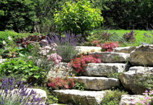 realisation de jardins de rocailles