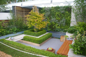 amenagement de jardin urbain et mur vegetal