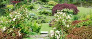 Jardin paysagiste aménagement japonais