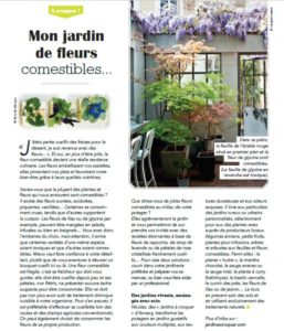 article paysagiste reves en déco